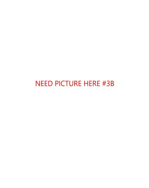 Picture-3B Picture-3B